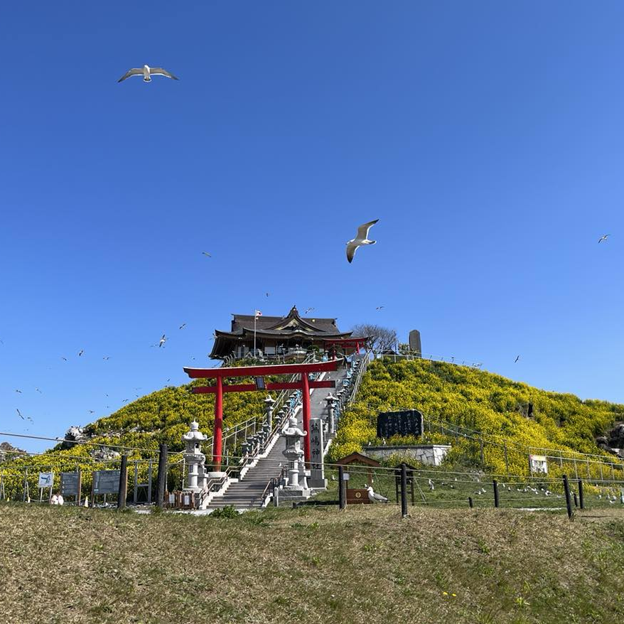 人生に絶景が必要な時 ｜ 金井塚悠生