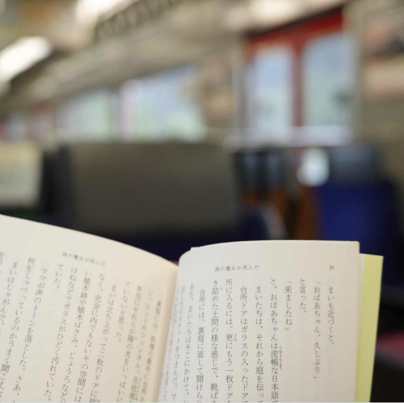 しおりから始まる｜苔