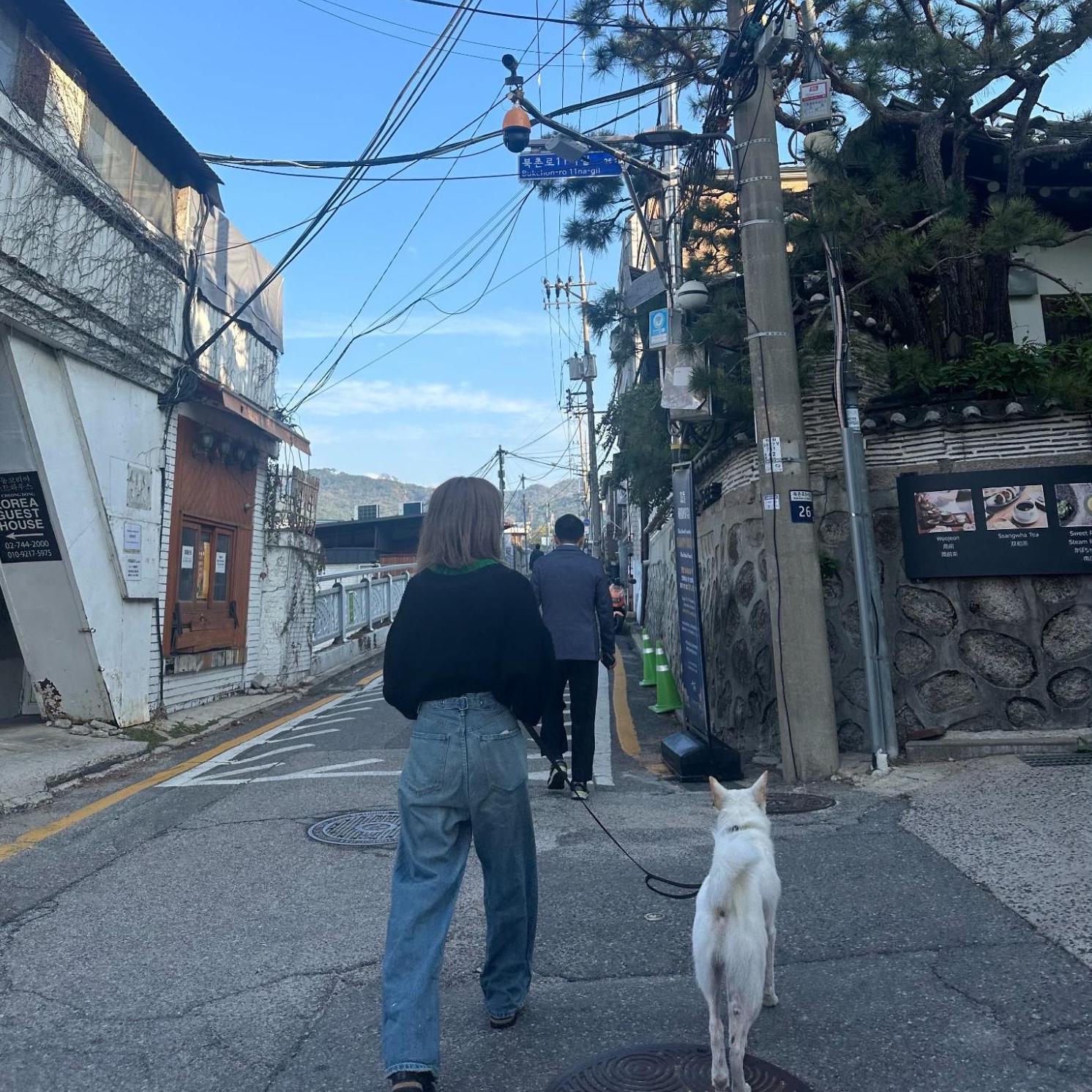 会いに行きたい ｜かまがみまほ