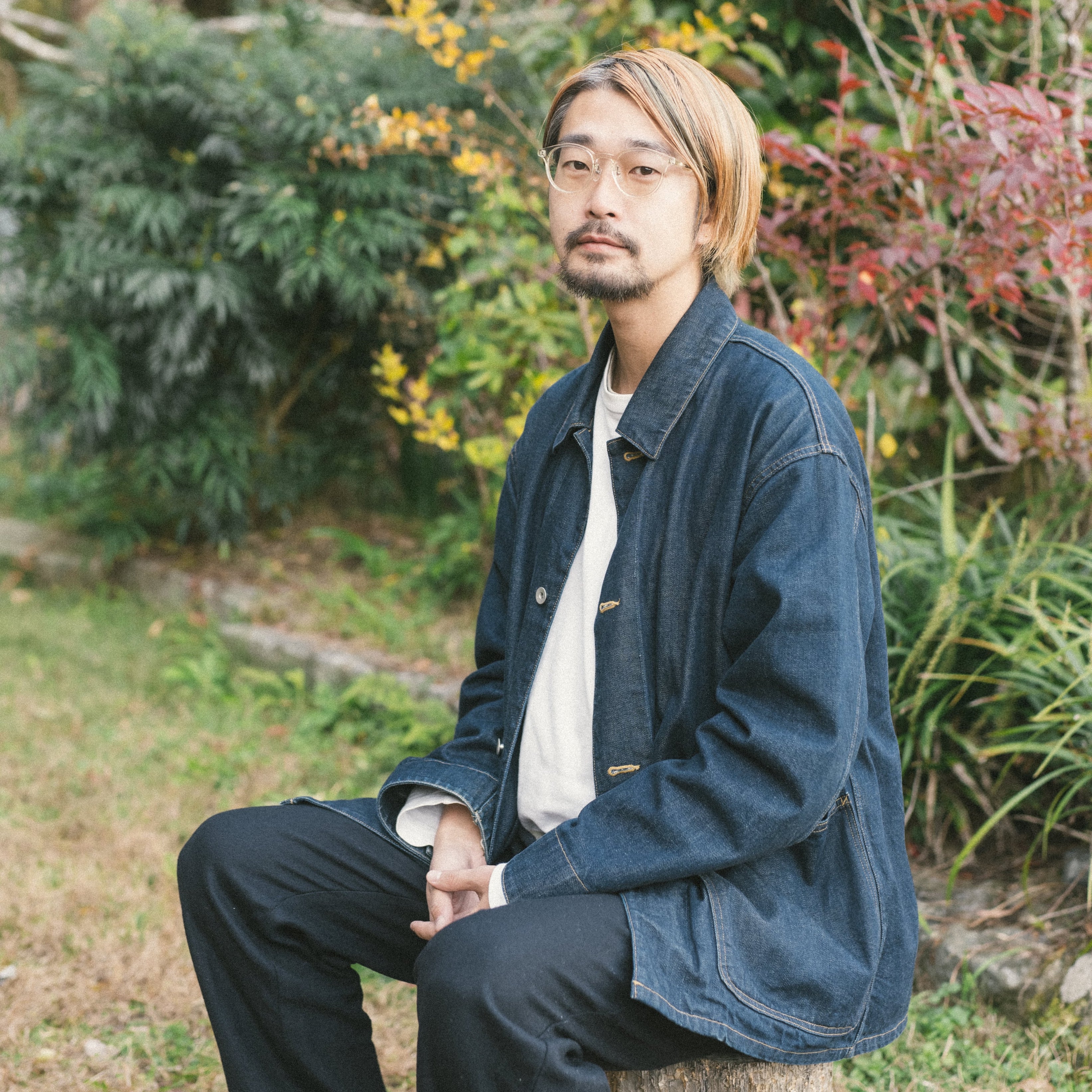 堤大樹