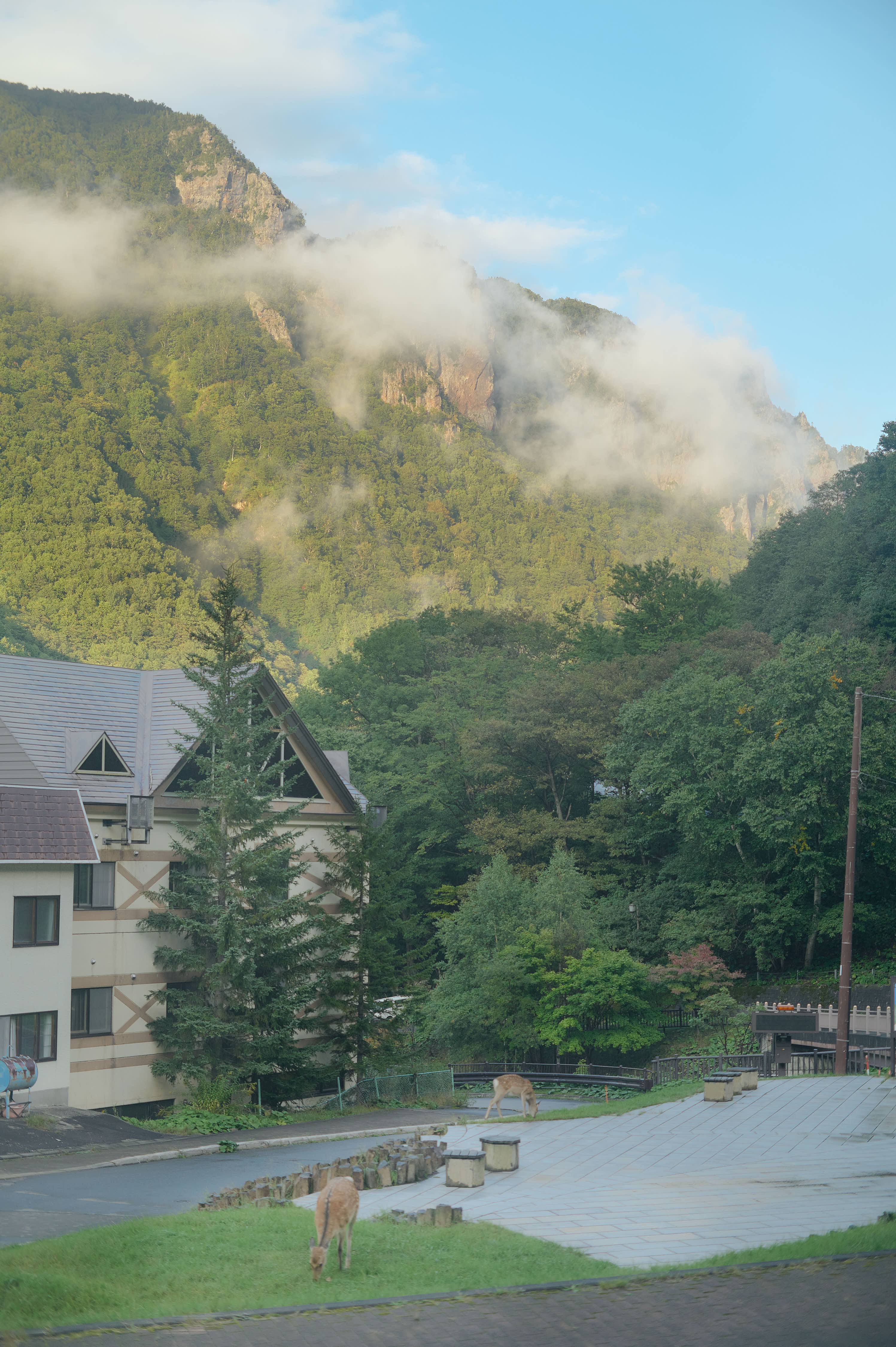 神々の遊ぶ庭と呼ばれた層雲峡の霧に包まれる、こじんまりとした温泉宿。大雪山の原始の自然のなか、朝は鳥のさえずりで目覚め、夜は満天の星を眺められる。